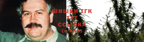 PSILOCYBIN Бежецк