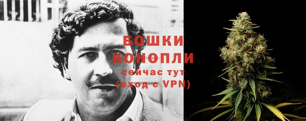 эйфоретик Михайловск
