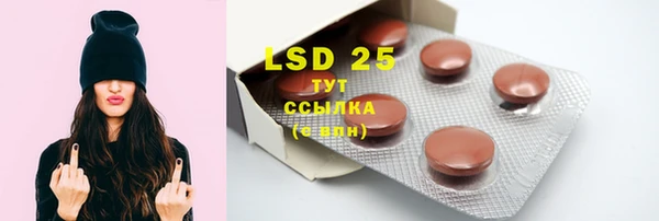 PSILOCYBIN Михайлов