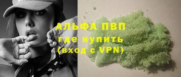 PSILOCYBIN Михайлов