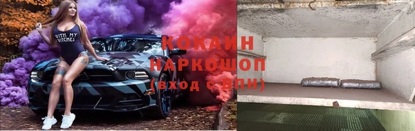 PSILOCYBIN Михайлов