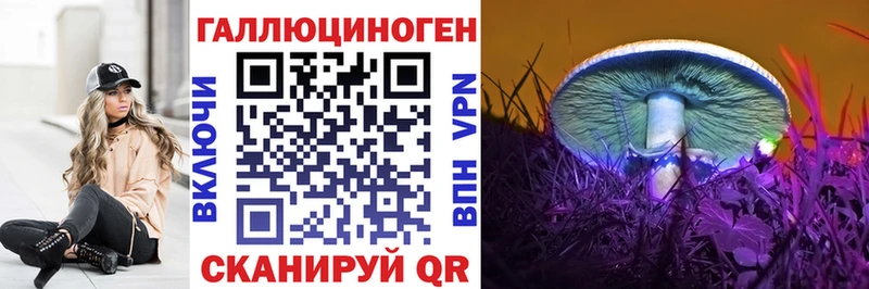 Псилоцибиновые грибы Cubensis  Зарайск 